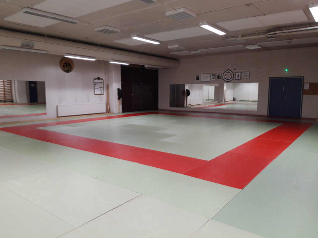 Budosalin tatami.