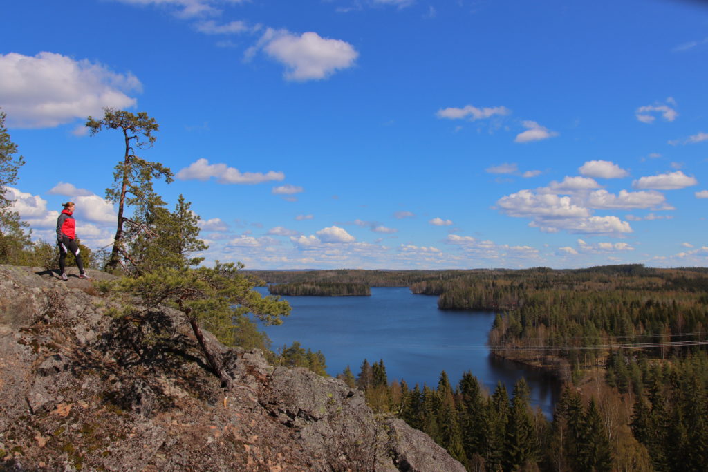 Luontokuva, kallio, Rautvuori