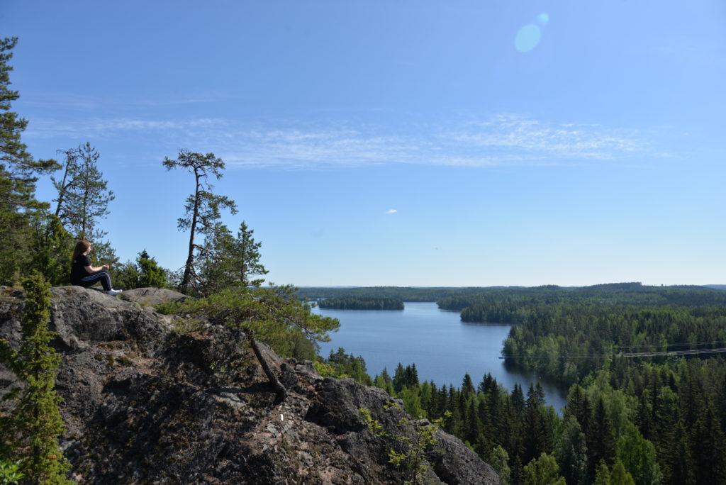 Näkymä Rautvuoren laelta ja mäntyjen yli järvelle.