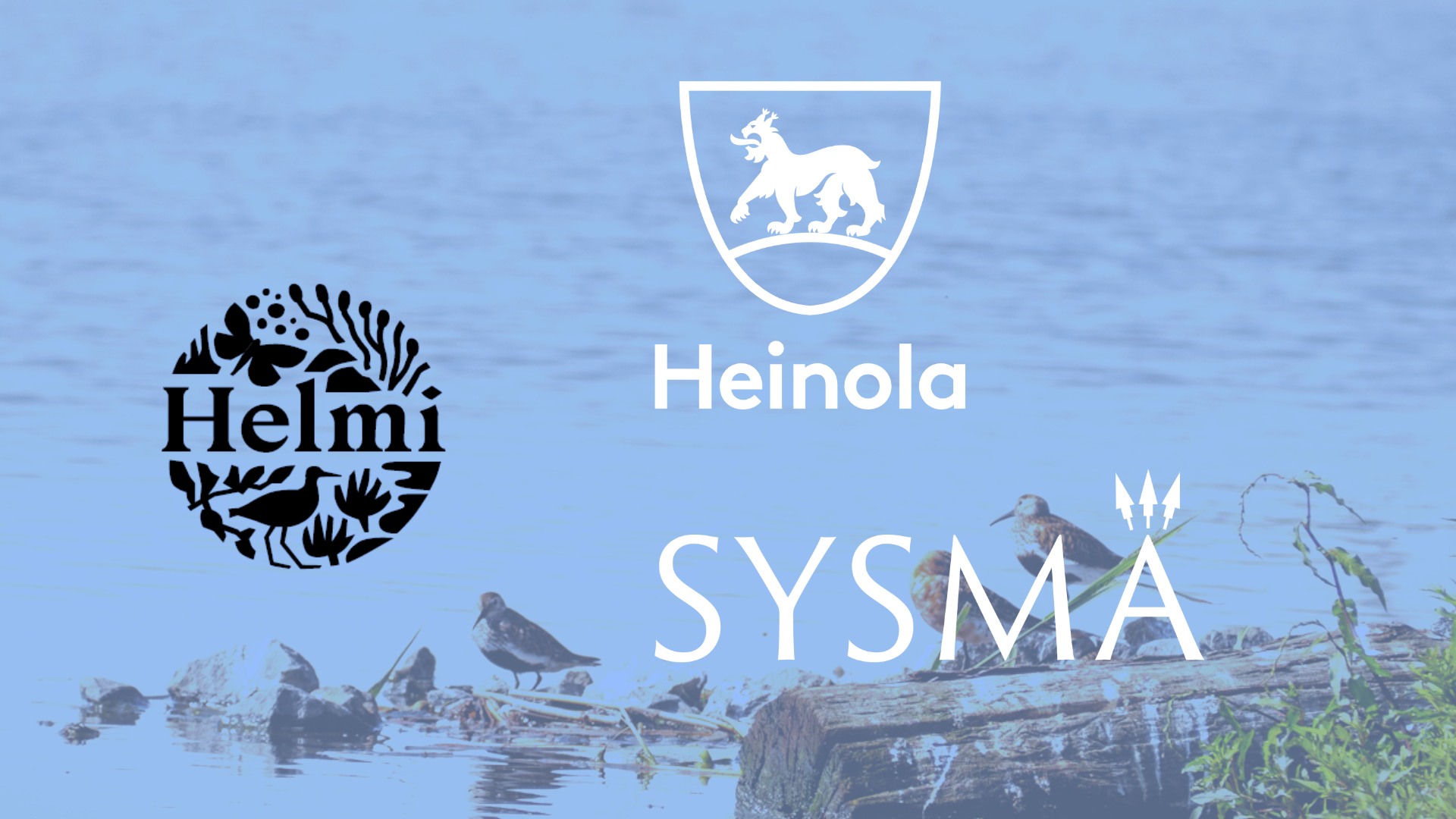 Helmi-hankkeen kuva Heinolan ja Sysmän logoilla