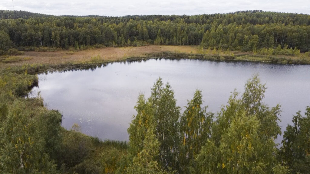 Kuva Isiäisestä niittojen jälkeen