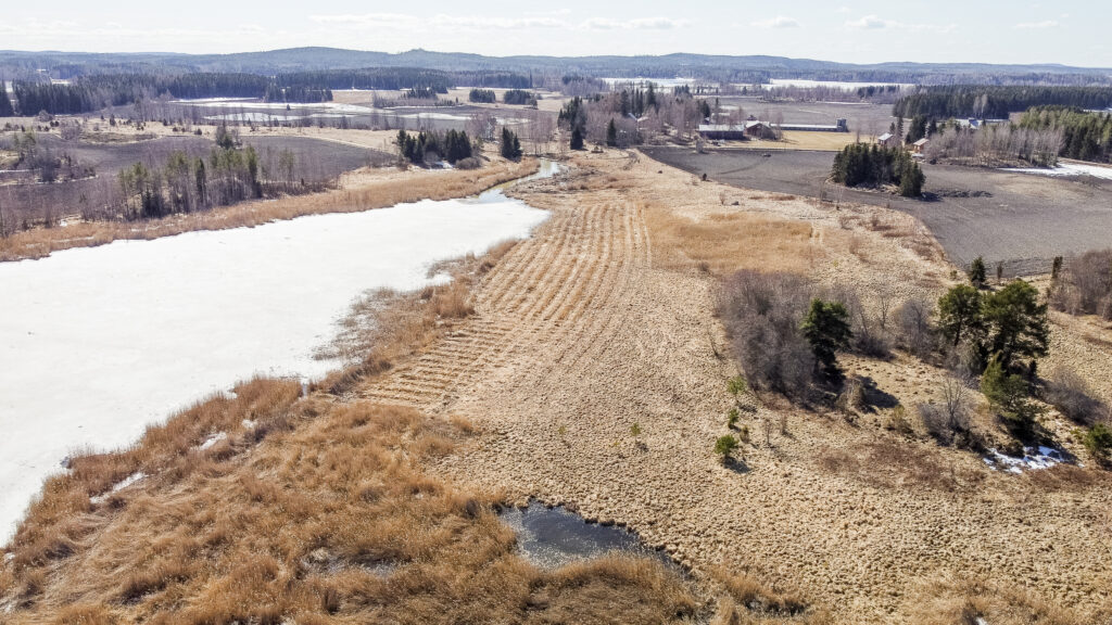 Ilmakuva Antialanlahdelta kevättalvella. Kuvassa vesistö vielä jäässä, rannoilta lumet sulaneet ja näkyvillä ruskeaa kasvillisuutta rantaruovikossa ja pellolla.