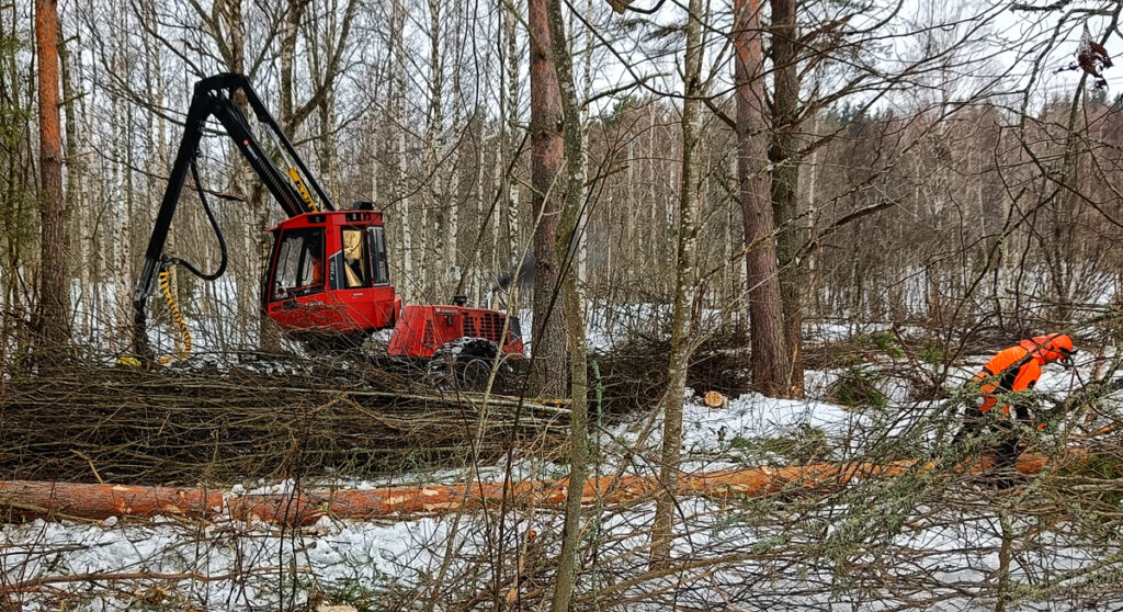 Pienikokoinen punainen metsäkone raivaamassa alueen puustoa talviaikaan. Kuvan etualalla metsuri oransseissa suojavarusteissa karsimassa männynrunkoa.