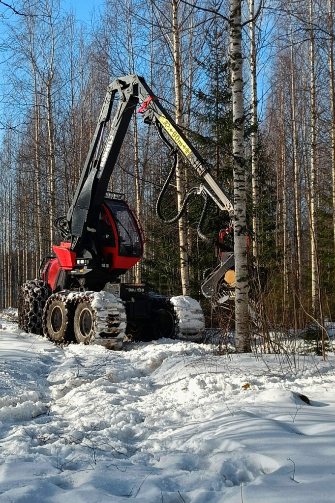 Punainen metsäkone kaataa koivua talvella