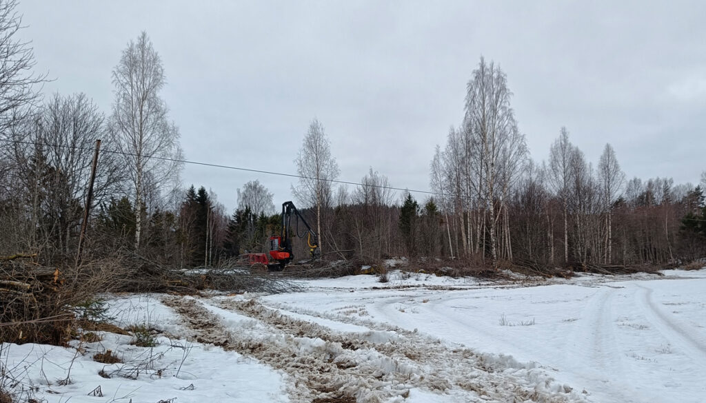 Kuvassa punainen metsäkone raivaamassa aluetta talvella